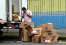 call attempts distribution analysis