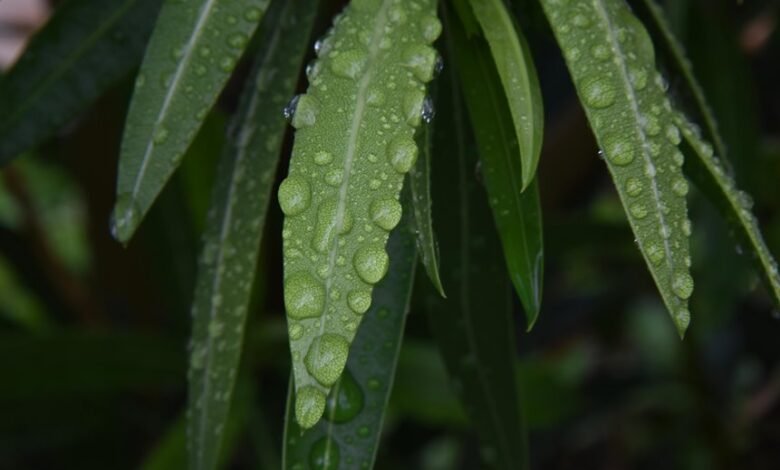 call drop analysis report