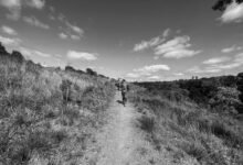 callback attempt monitoring system