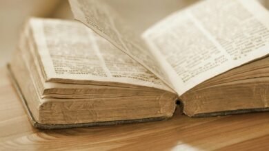 toll free call volume analysis