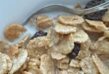 choosing greblovz2004 entry point