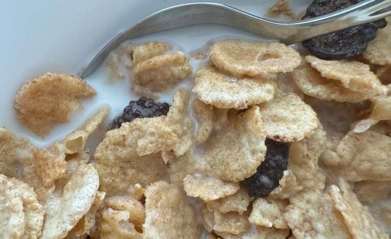 choosing greblovz2004 entry point