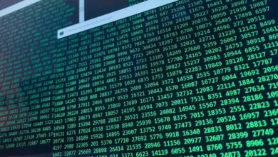 encoded string of characters