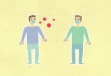 laturedrianeuro s potential spread