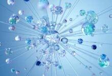 web to society network